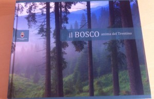 Scopri di più sull'articolo «Il bosco anima del Trentino», o come spendere male 50 mila euro