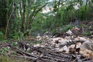 Scopri di più sull'articolo M5S Mori: pericolo di crolli di roccia e costruzione vallo tomo.